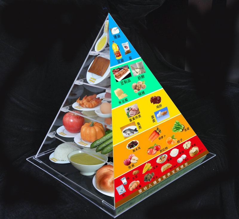 肺結(jié)核患者要怎么飲食？膳食寶塔模型公司告訴你